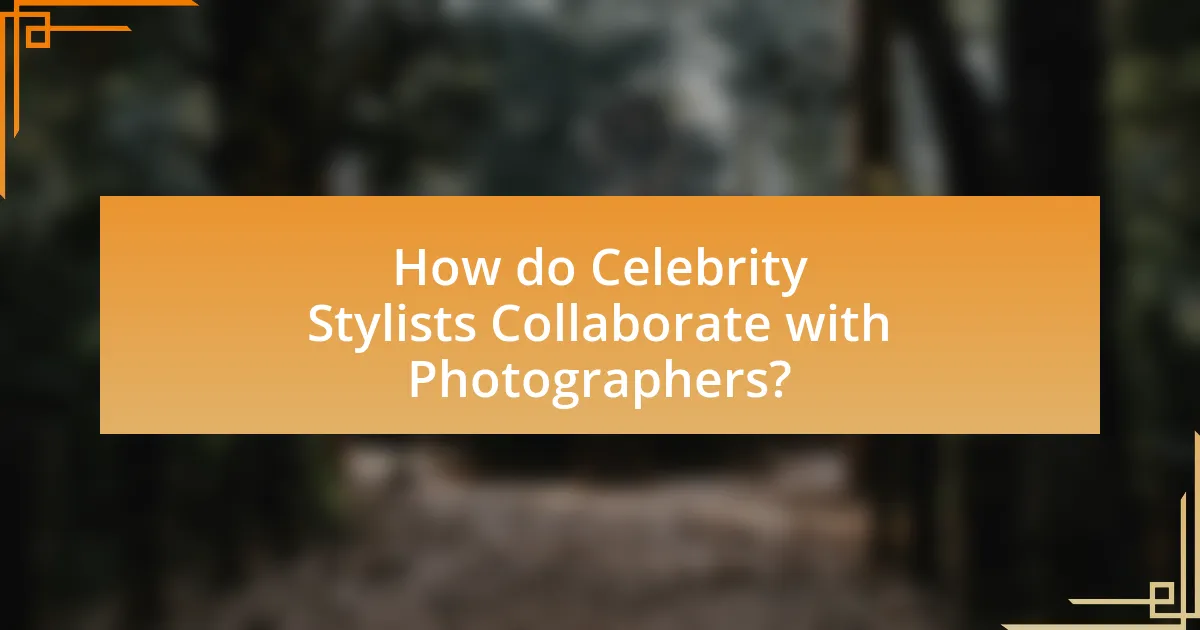 How do Celebrity Stylists Collaborate with Photographers?