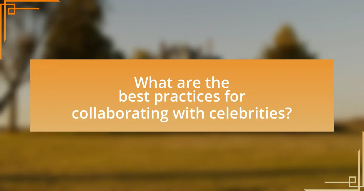 What are the best practices for collaborating with celebrities?