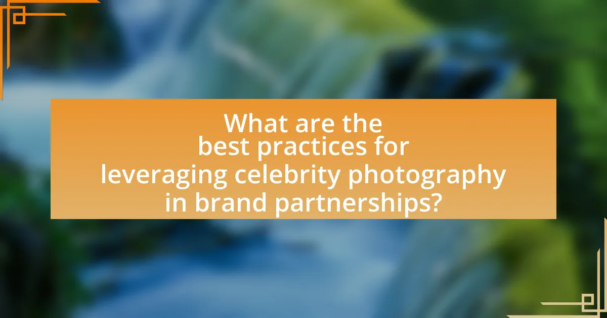 What are the best practices for leveraging celebrity photography in brand partnerships?