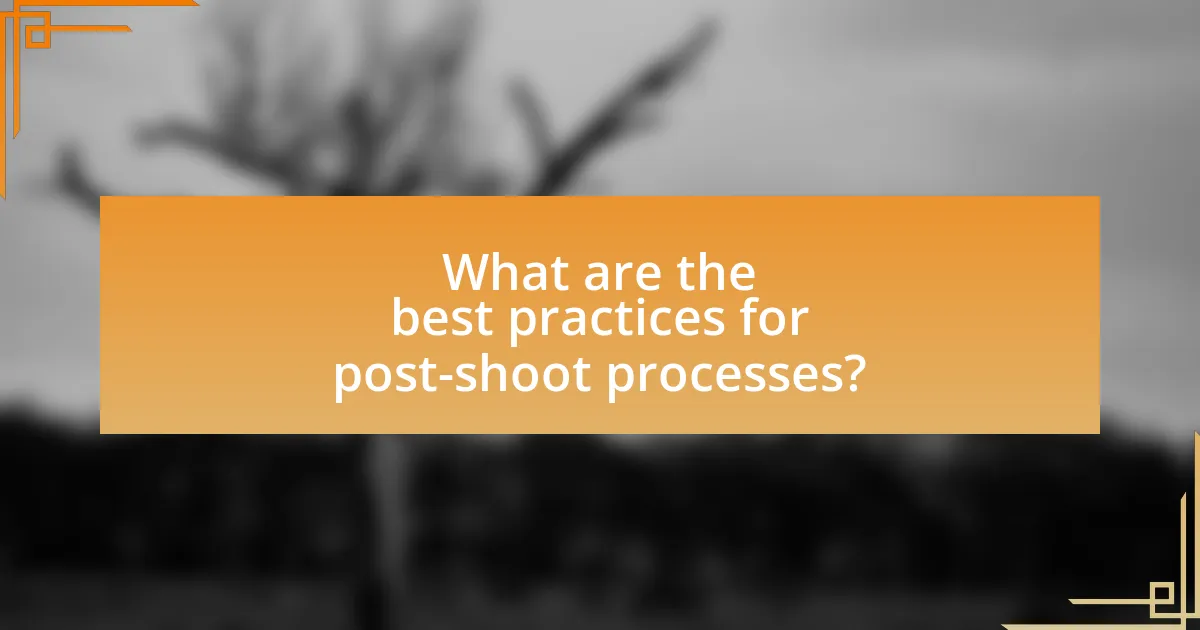 What are the best practices for post-shoot processes?