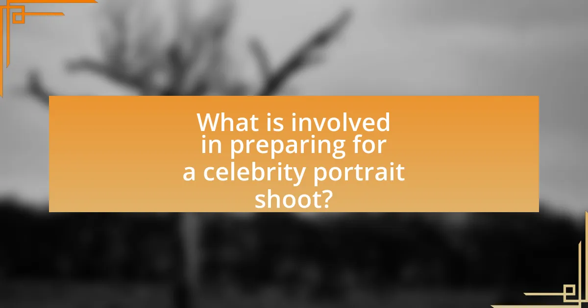 What is involved in preparing for a celebrity portrait shoot?