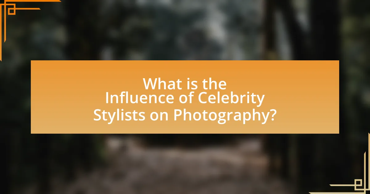 What is the Influence of Celebrity Stylists on Photography?