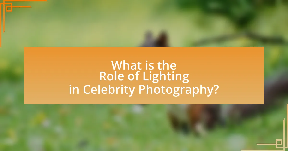 What is the Role of Lighting in Celebrity Photography?
